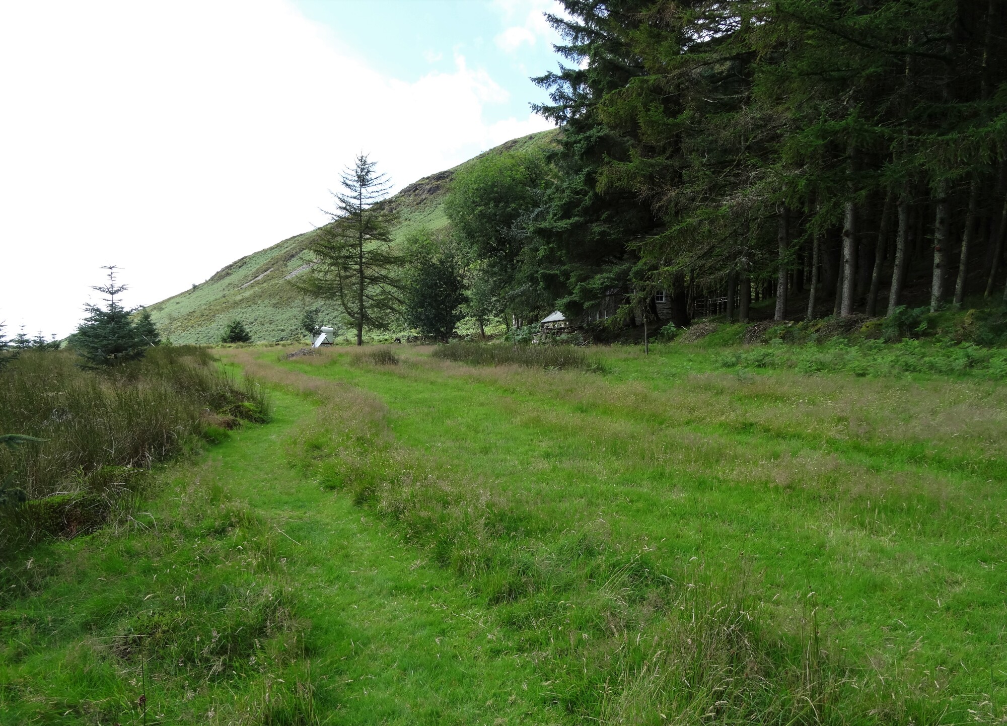 RachelSeabrook.net | Wild Walking | Craig y Pistyll | pic13